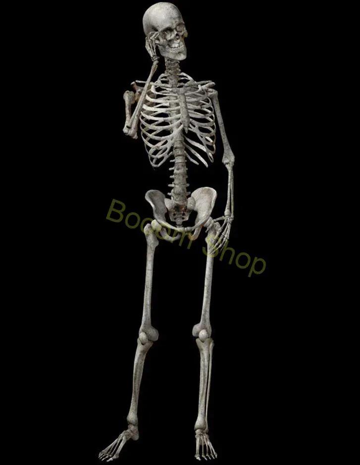 Kostra - PVC skelet pre dekoráciu 90cm